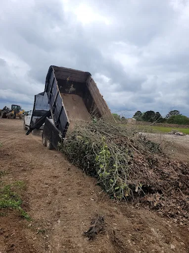 Yard debris being dumped in the tree and limb debris section of the DeKalb County landfill.