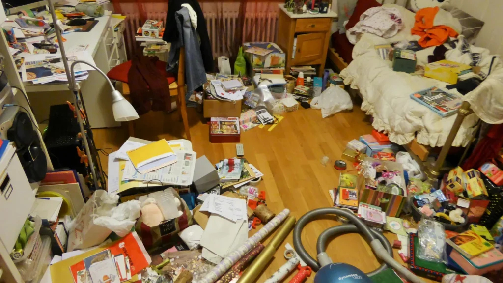 Hoarding Cleaning Service