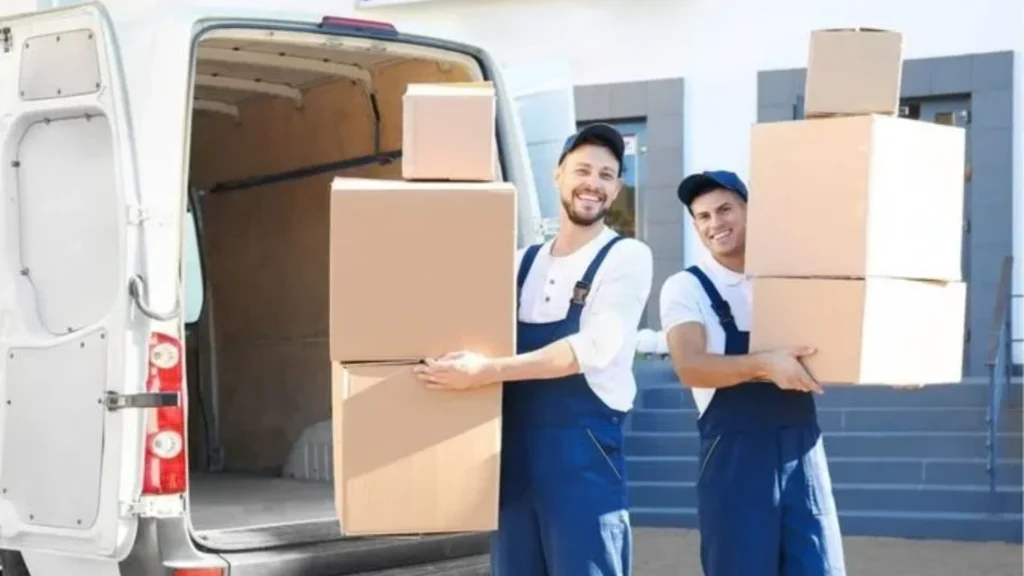 Junk Removal Work 
