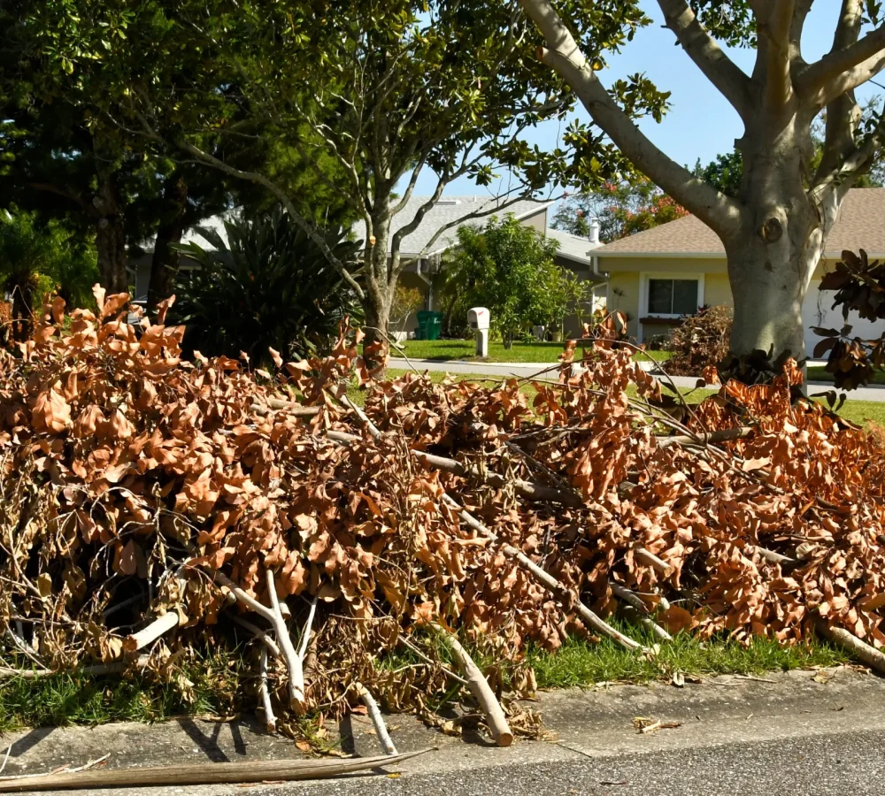 Bulk yard debris stacked on the curbside, ready for GoGo Junk Removal pickup.