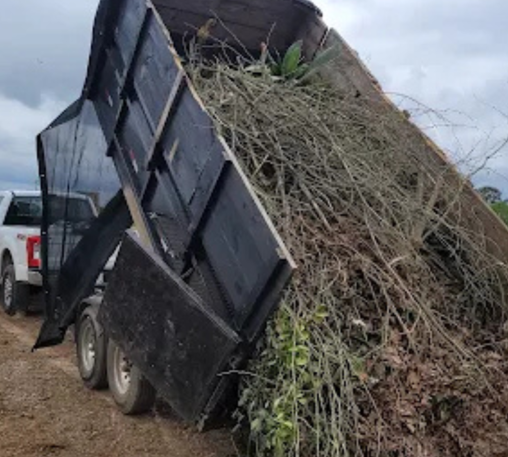 GoGo Junk Removal technician unloading yard debris from a truck in the tree and shrubbery section of the DeKalb County landfill.